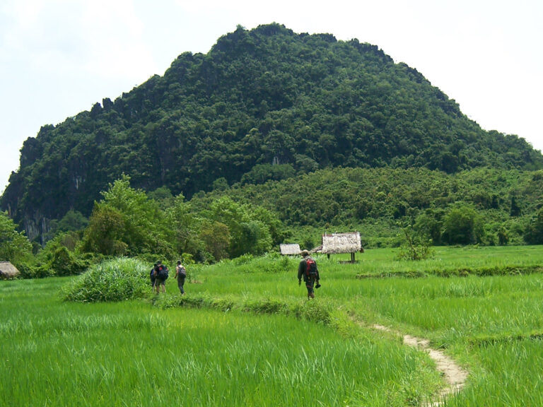 Trek around the Kao Niw Farm Stay in Luang Prabang