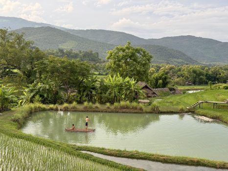 Fishing in our private pond at Kao Niaw Farm Stay